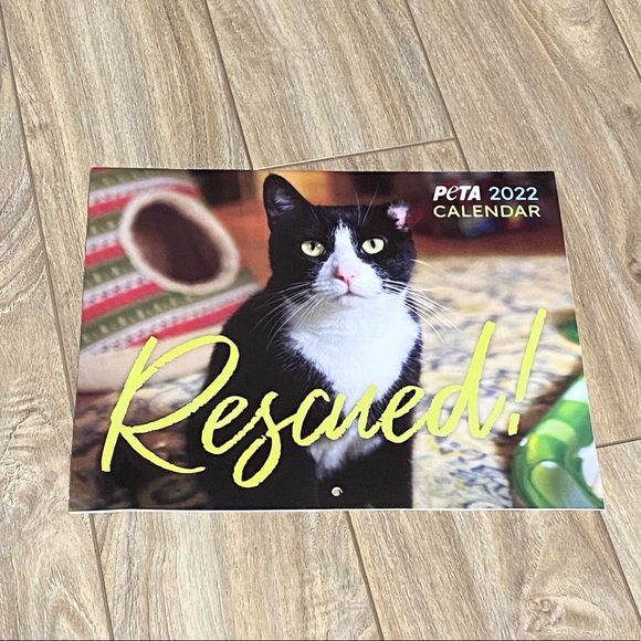 Peta Rescued | Office | Peta Rescued 222 6 Month Calendar | Poshmark